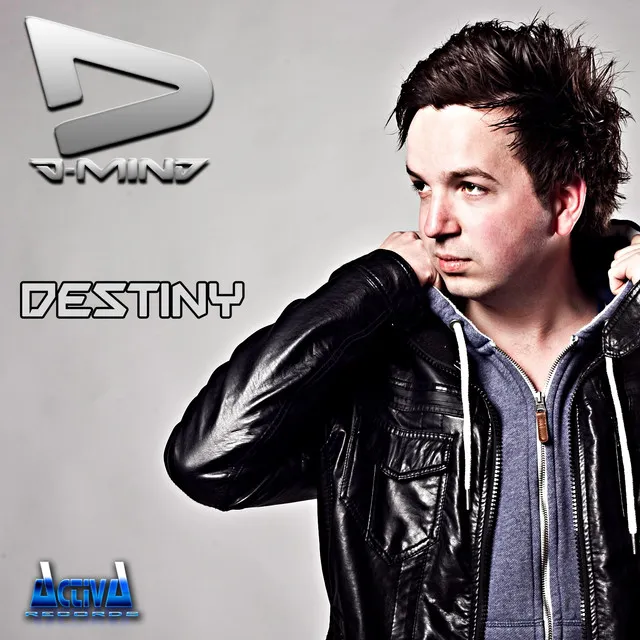 Cover art of Destiny