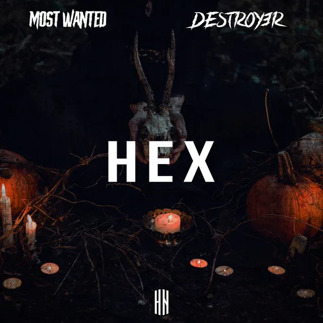 HEX by DESTROY3R, Most Wanted - Hardstyle cover art