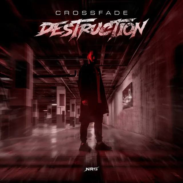Cover art of Destruction