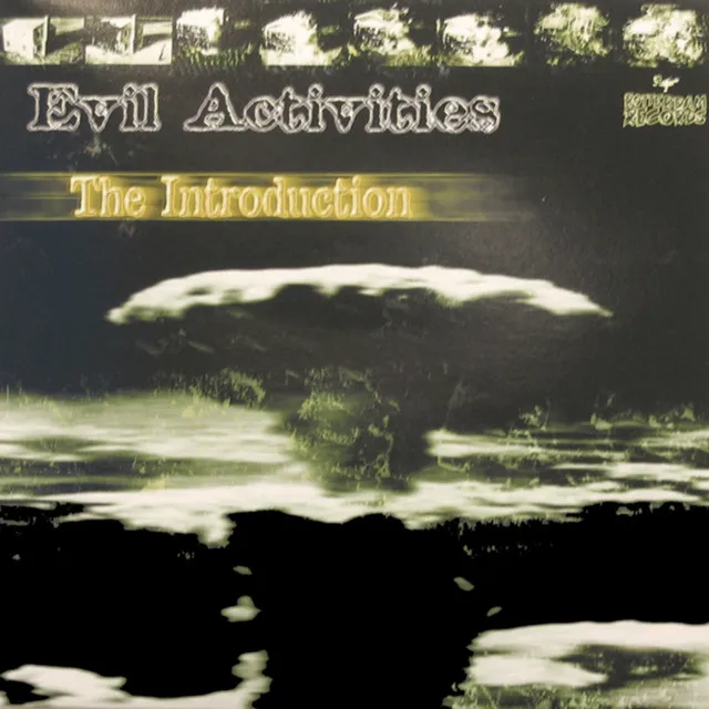 Cover art of The Introduction
