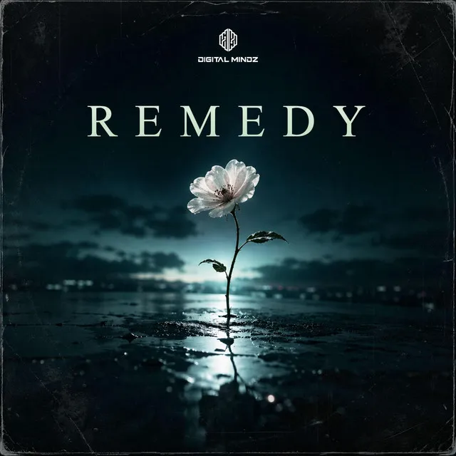 Remedy - Radio Edit by Digital Mindz - Hardstyle cover art