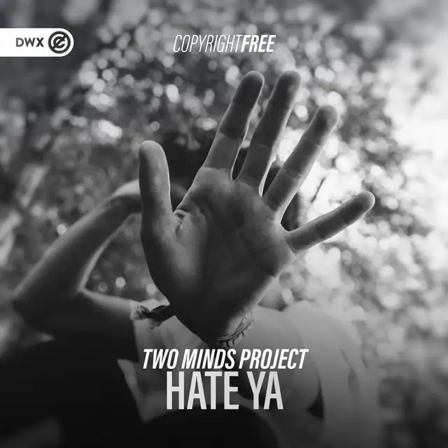 Hate Ya by Dirty Workz, Two Minds Project - Hardstyle cover art