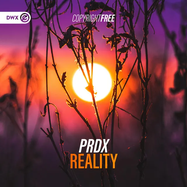 Reality by Dirty Workz, PRDX - Euphoric Hardstyle cover art