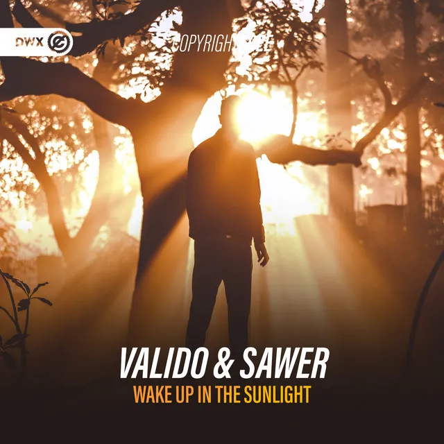 Wake Up In The Sunlight by Dirty Workz, Valido, Sawer - Hardstyle cover art