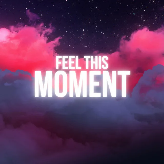 Feel This Moment (Hard Edit) by DJ Brokenz - Hardstyle cover art