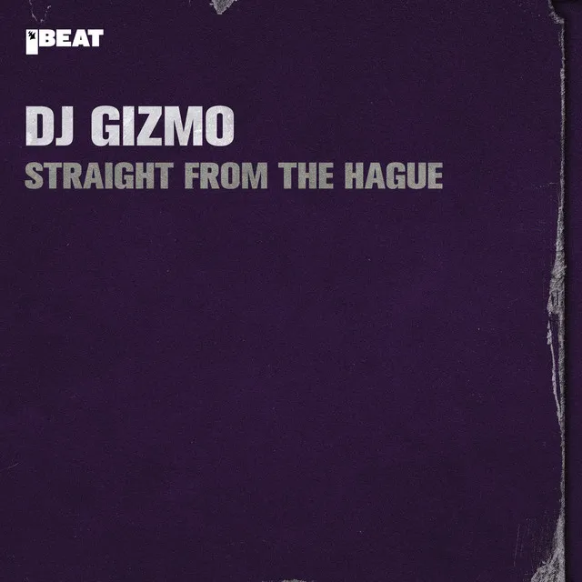 Drinking Beer by Dj Gizmo - Hardcore cover art