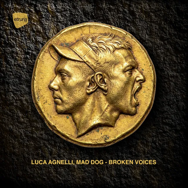 Broken Voices by Dj Mad Dog, Luca Agnelli - Hard Techno cover art
