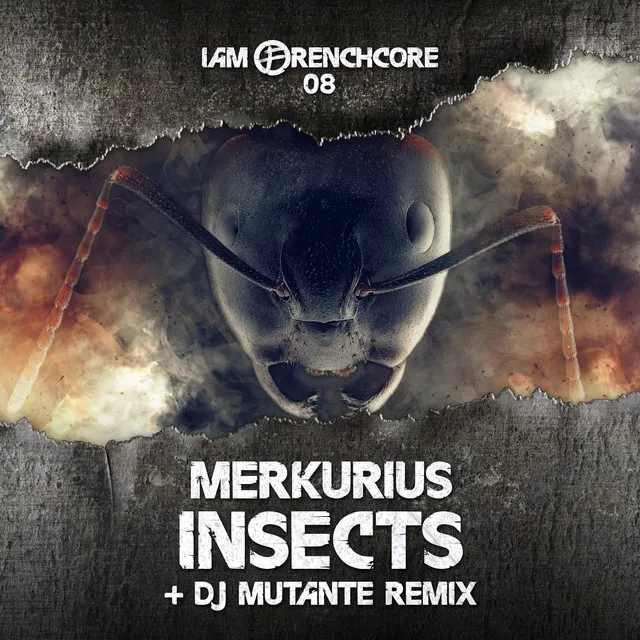 Insects - DJ Mutante remix by DJ Mutante, Merkurius, François Robichaud - Frenchcore cover art