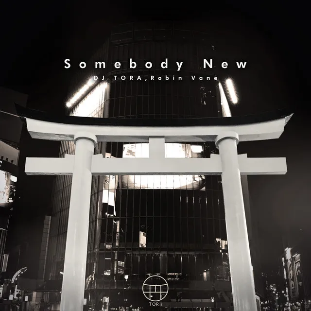 Somebody New by DJ TORA, Robin Vane - Hardstyle cover art