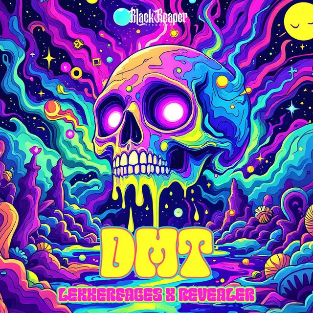Cover art of DMT
