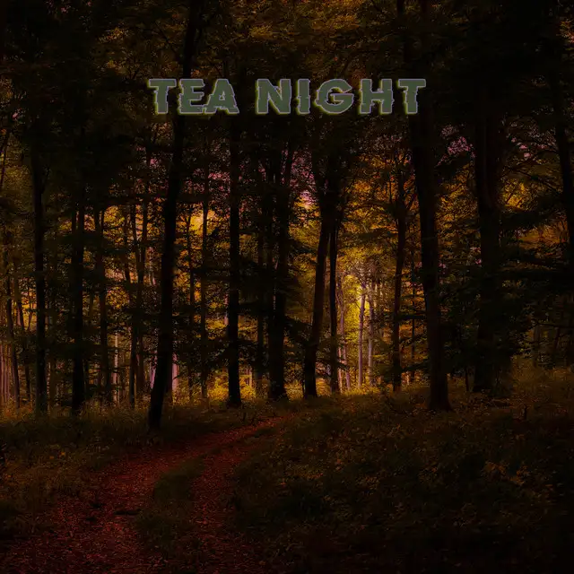 Tea Night by Dolphin - Hardcore cover art