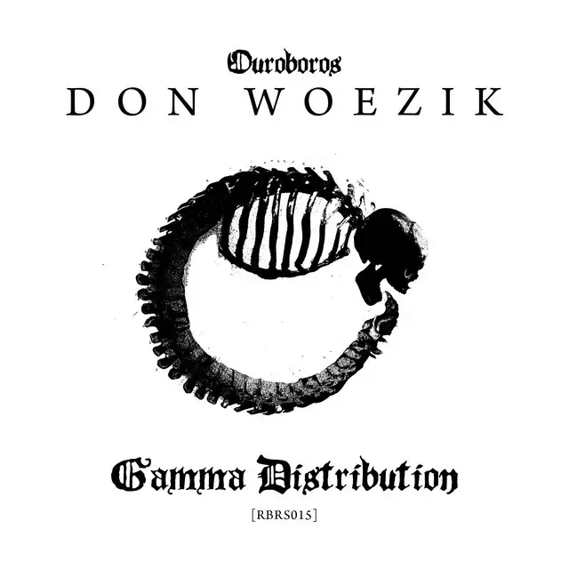 Gamma Distribution by Don Woezik - Hard Techno cover art