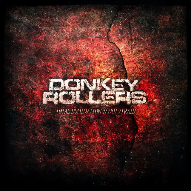 Not Afraid - Original Edit by Donkey Rollers - Hardstyle cover art