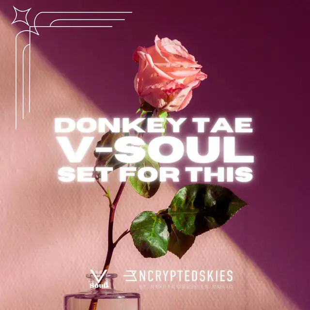 Set For This by Donkey Tae, V-SouL - Hardstyle cover art