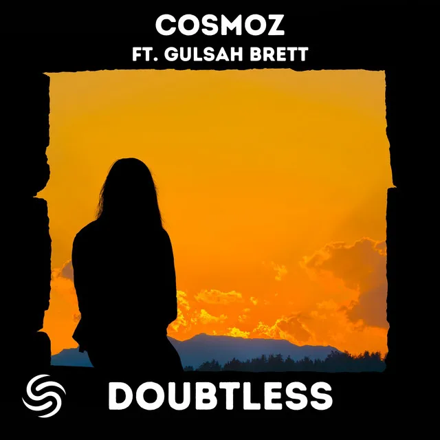 Cover art of Doubtless