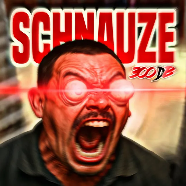SCHNAUZE (300dB) by Dr Donk, Beats by Luca - Deutscher Krach cover art