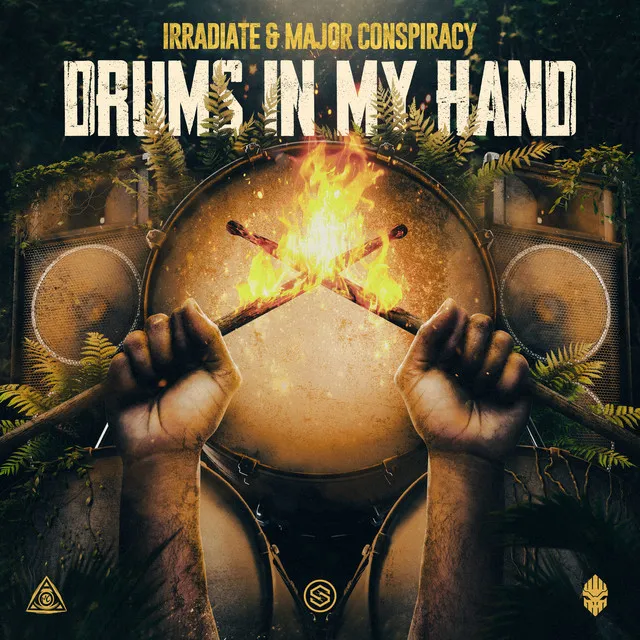 Cover art of Drums In My Hand