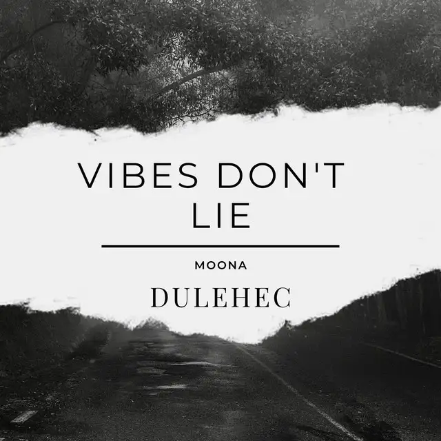 Vibes Don't Lie by Dulehec - Hardstyle cover art