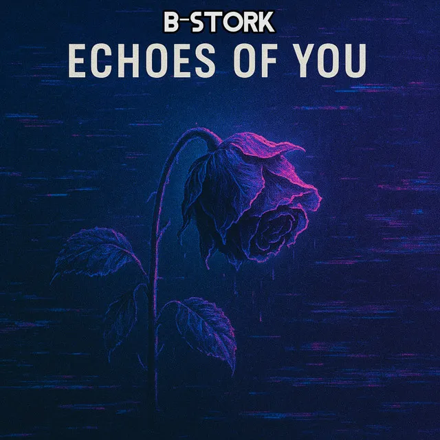 Cover art of Echoes of You
