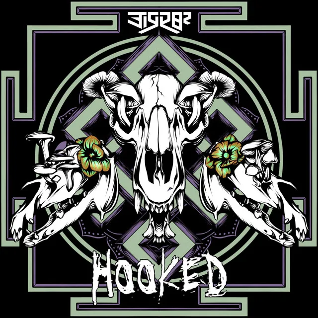 Hooked by EiRR0R - Frenchcore cover art