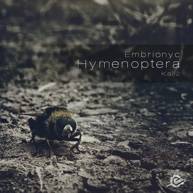 Apiformes by Embrionyc - Hardcore cover art