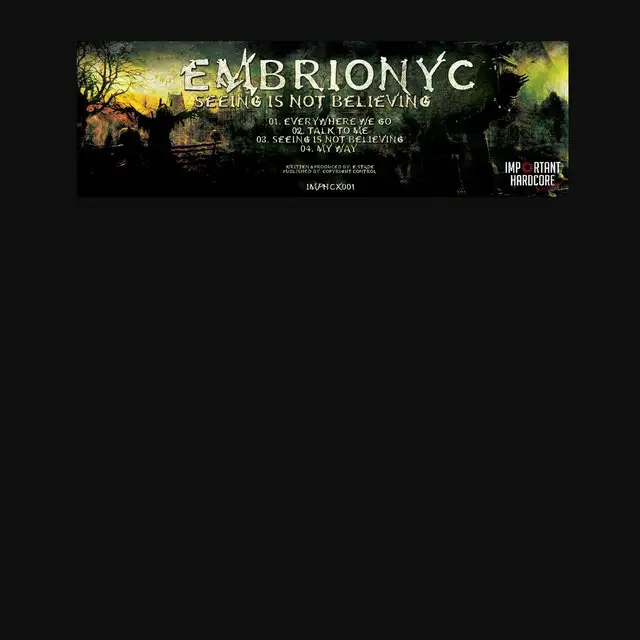 Everywhere We Go - Original Mix by Embrionyc - Hardcore cover art