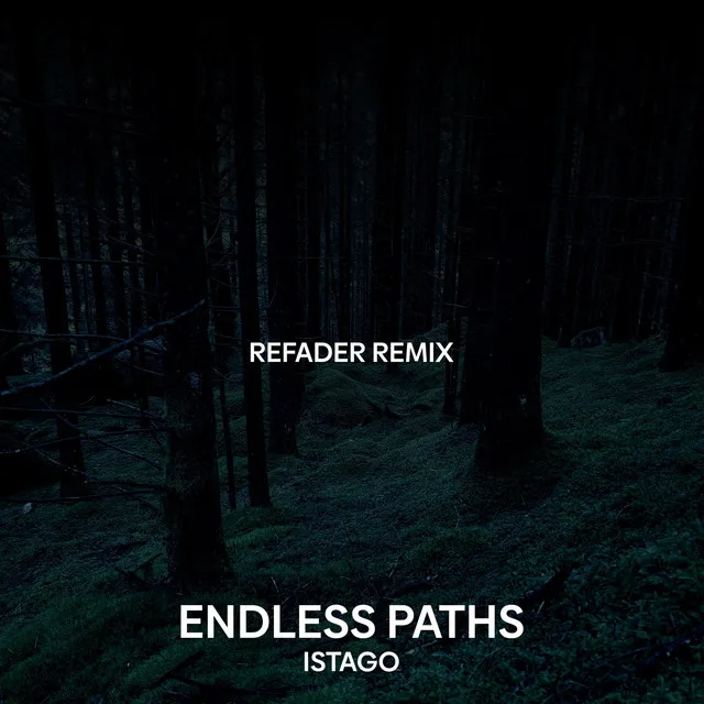 Cover art of Endless Paths (Refader Remix)