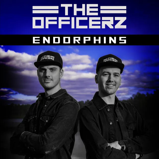 Cover art of Endorphins