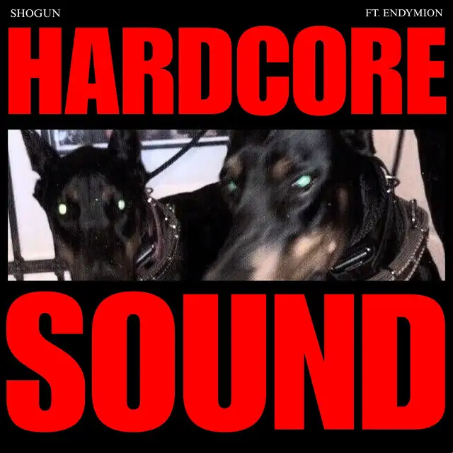 HARDCORE SOUND by Endymion, Shogun - Hard Techno cover art