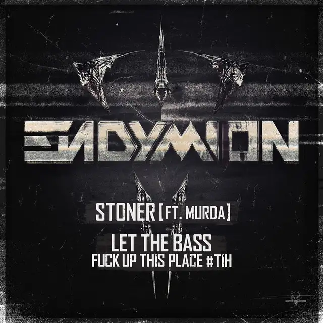 Let the bass fuck up this place #TiH - Extended Mix by Endymion - Hardstyle cover art