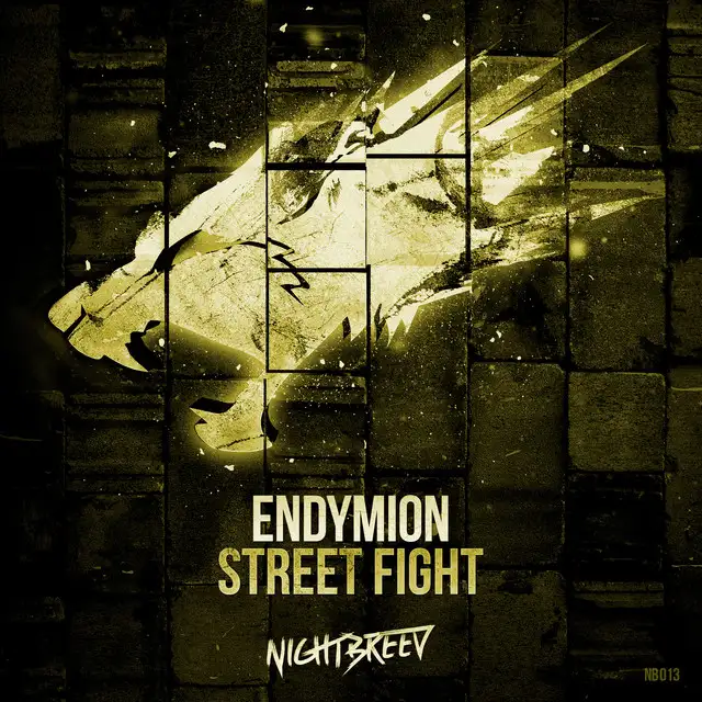 Street Fight - Original Mix by Endymion - Hardstyle cover art