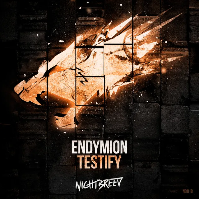 Testify - Radio Edit by Endymion - Hardstyle cover art