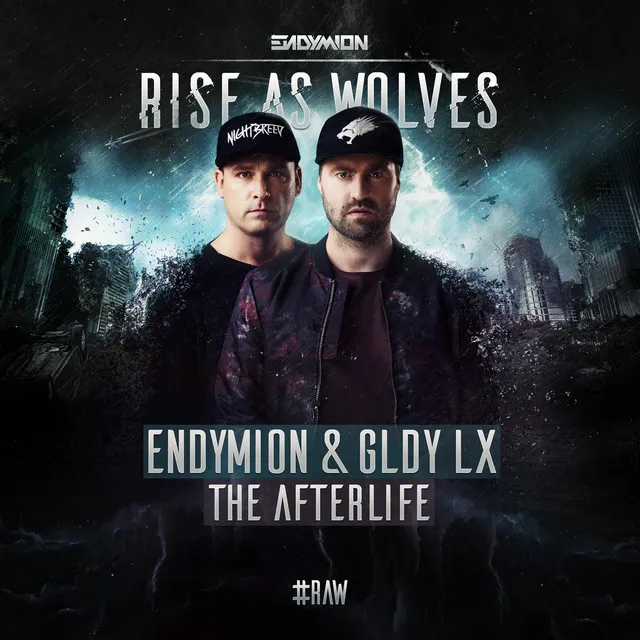 The Afterlife - Radio Edit by Endymion, GLDY LX - Hardstyle cover art