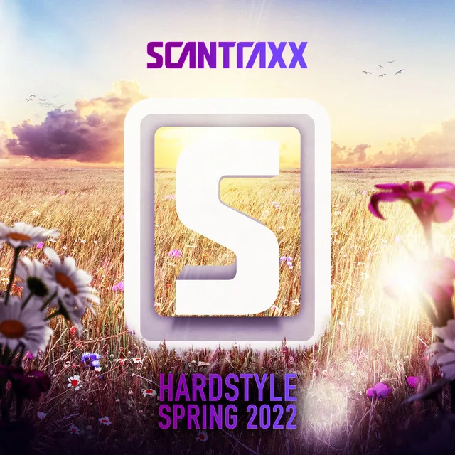 Synthesized by Envine - Rawstyle cover art