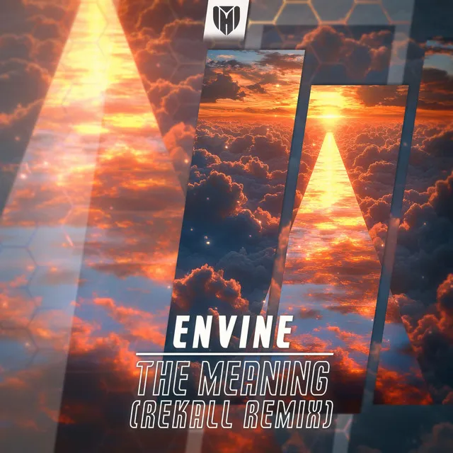 The Meaning by Envine, REKALL - Rawstyle cover art