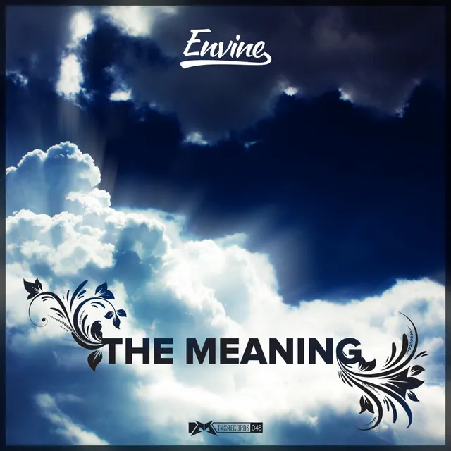 The Meaning - Original Mix by Envine - Rawstyle cover art