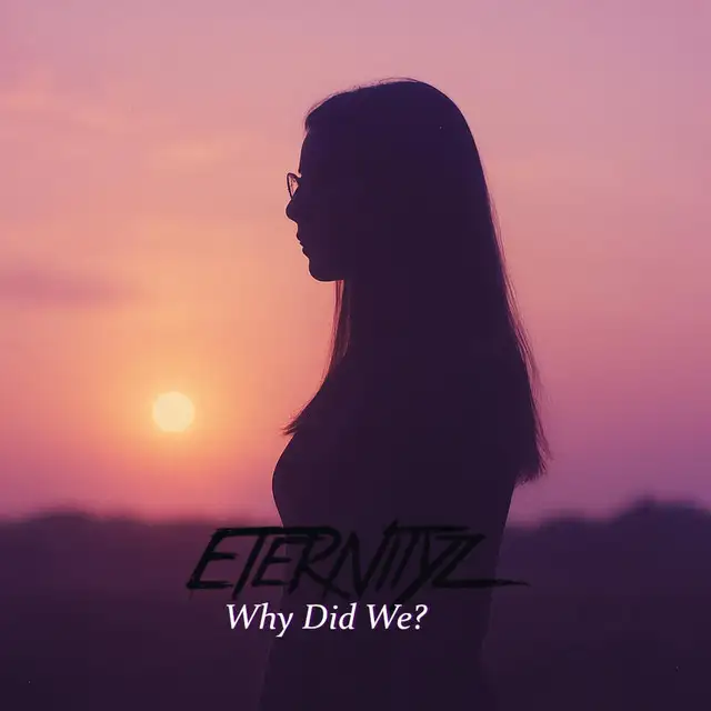 Why did we? - Streaming Edit by Eternityz - Hardcore cover art