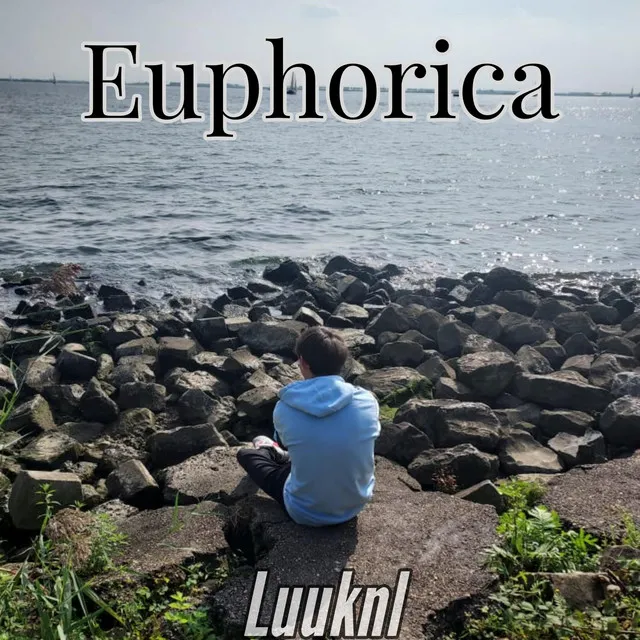 Cover art of Euphorica