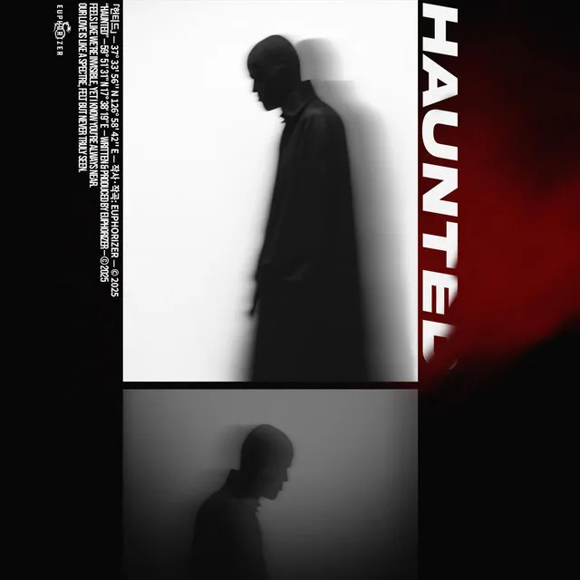 Haunted by Euphorizer - Euphoric Hardstyle cover art