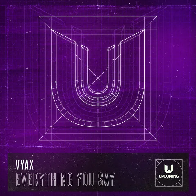 Cover art of Everything You Say