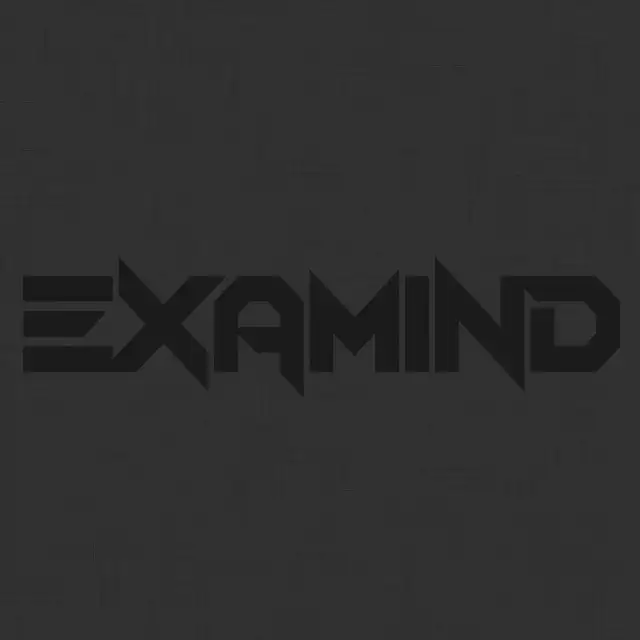 Withoutyou by Examind - Hardstyle cover art
