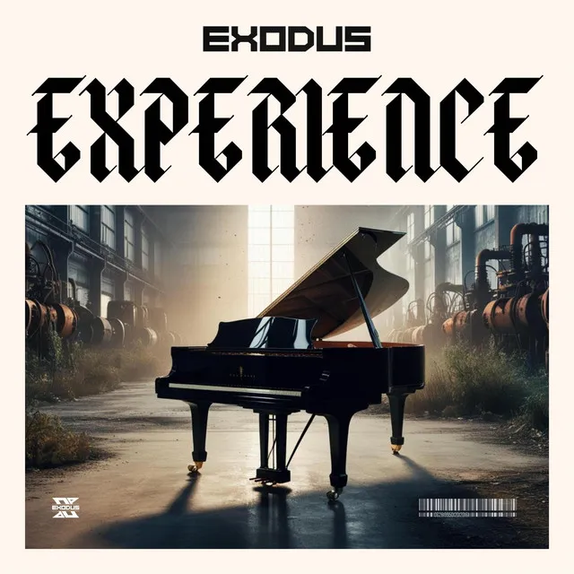 Cover art of Experience