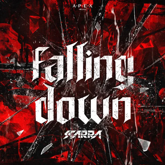 Cover art of Falling Down