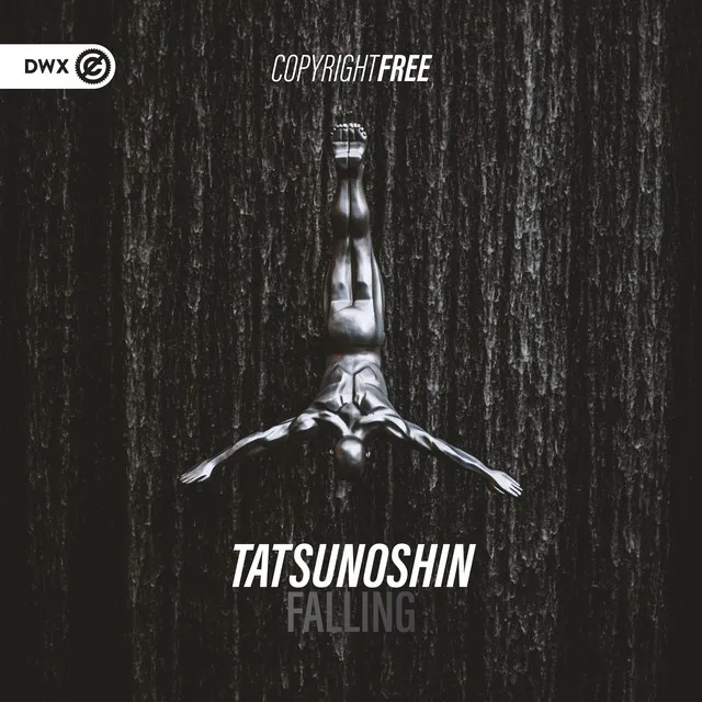 Cover art of Falling
