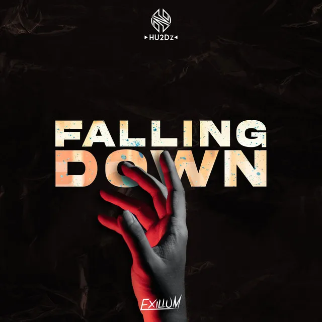 Cover art of Falling Down