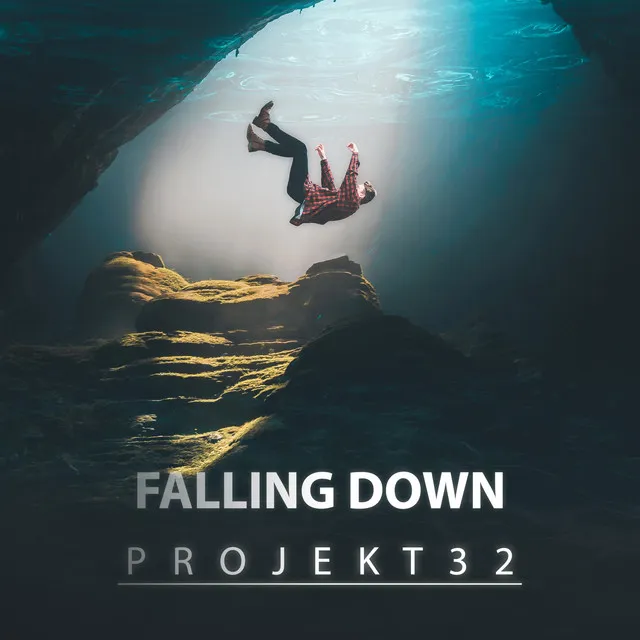 Cover art of Falling Down