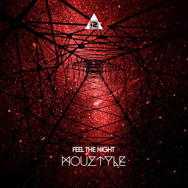 Cover art of Feel The Night