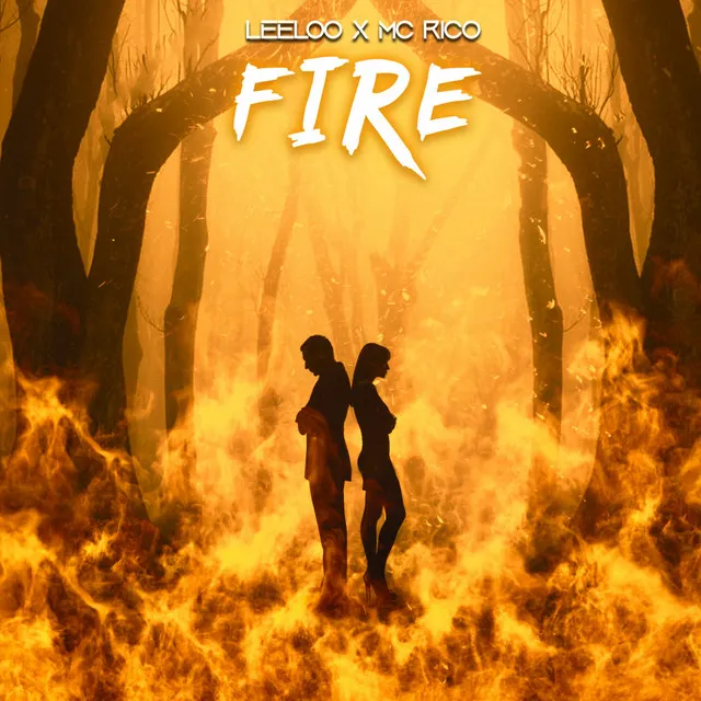 Cover art of Fire