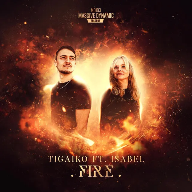 Cover art of Fire