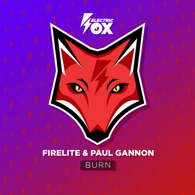 Burn by Firelite, Paul Gannon - Euphoric Hardstyle cover art